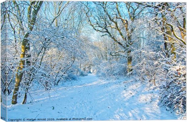 Winter Woodland Walk Canvas Print by Martyn Arnold