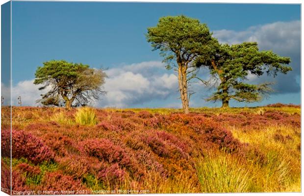 North York Moors Autumn Landscape Canvas Print by Martyn Arnold