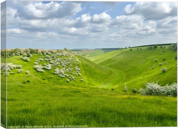Holm Dale in the Yorkshire Wolds Canvas Print by Paula Connelly