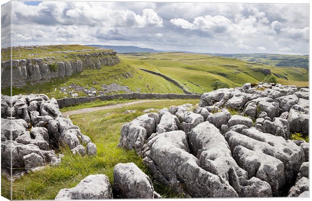 Yorkshire Dales Limestone Canvas Print by Paula Connelly