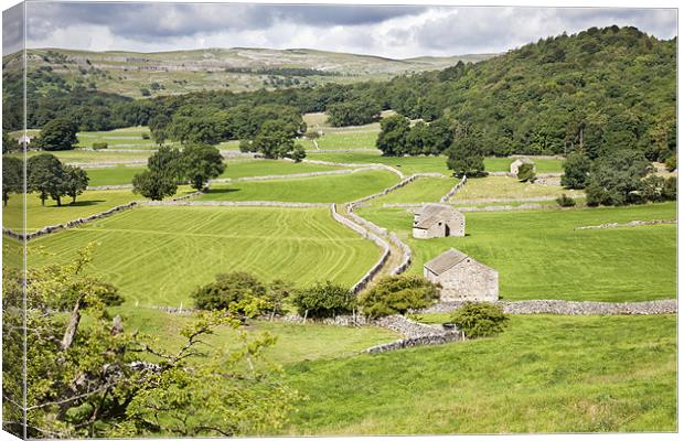 Yorkshire Dales Landscape Canvas Print by Paula Connelly