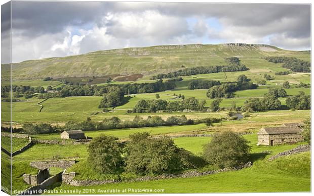 Wensleydale Canvas Print by Paula Connelly