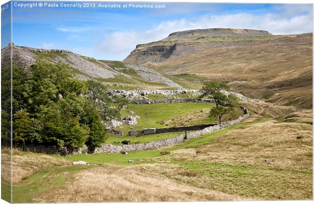 Ingleborough in the Yorkshire Dales Canvas Print by Paula Connelly