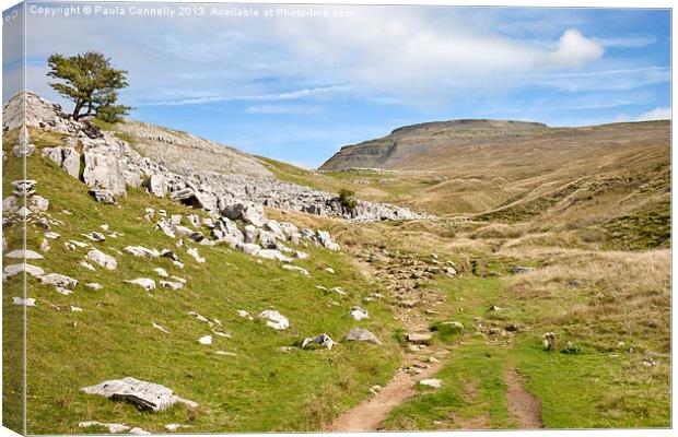 Ingleborough in the Yorkshire Dales Canvas Print by Paula Connelly