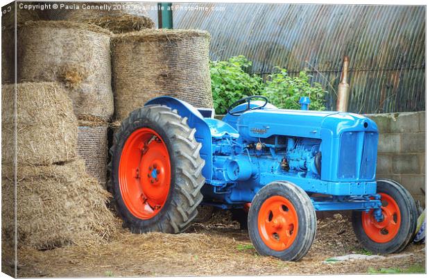 Blue Tractor Canvas Print by Paula Connelly