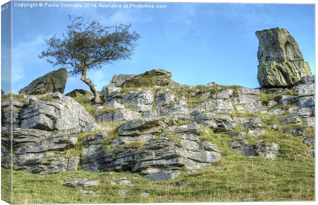 Yorkshire Dales Limestone Canvas Print by Paula Connelly
