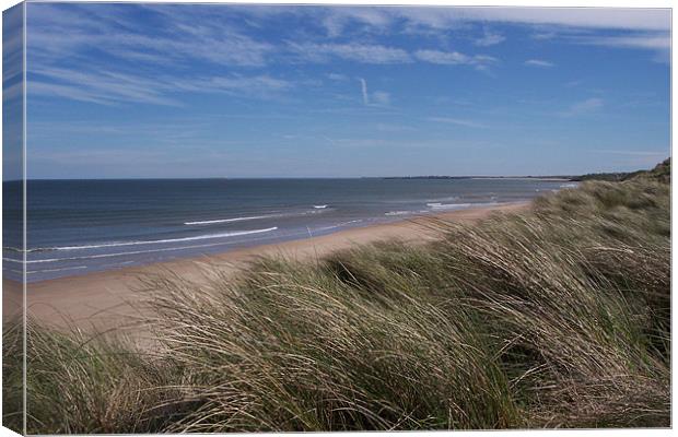 Northumberland Coast  Canvas Print by Kevin Holden