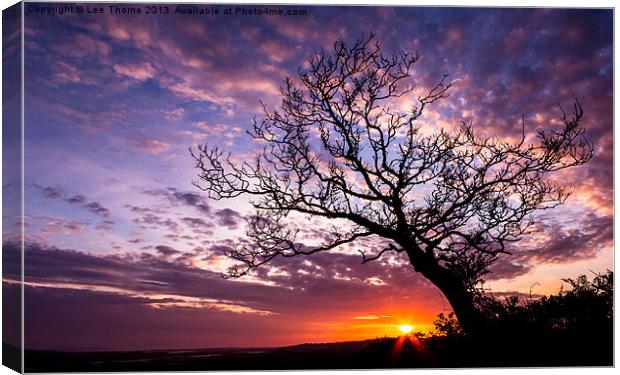 Oak Tree Sunset Canvas Print by Lee Thorne