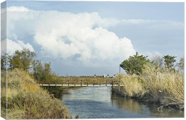 Riding white horses by canal Canvas Print by Jean Gill