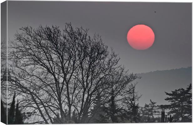 Sunset over trees Canvas Print by Jean Gill