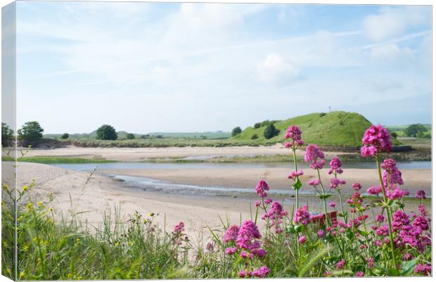 Church Hill, Alnmouth, Northumberland Canvas Print by Jean Gill