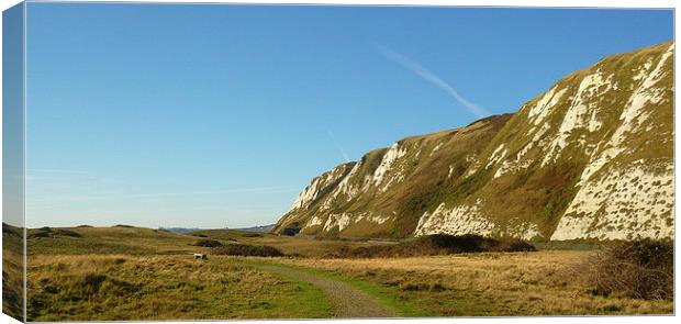 The White Cliffs Of Dover Canvas Print by Antoinette B