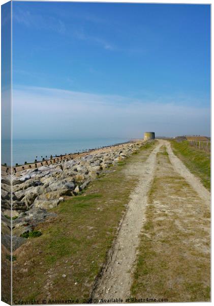 Martello Tower  Canvas Print by Antoinette B