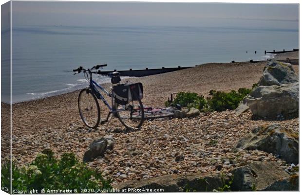 Bicycles on the shingle beach Canvas Print by Antoinette B
