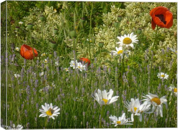 Wild Flowers With Lavender  Canvas Print by Antoinette B