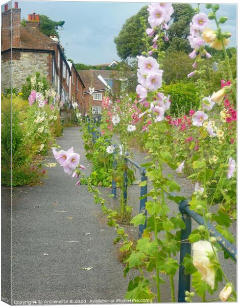 Hollyhocks on Church Hill Hythe  Canvas Print by Antoinette B