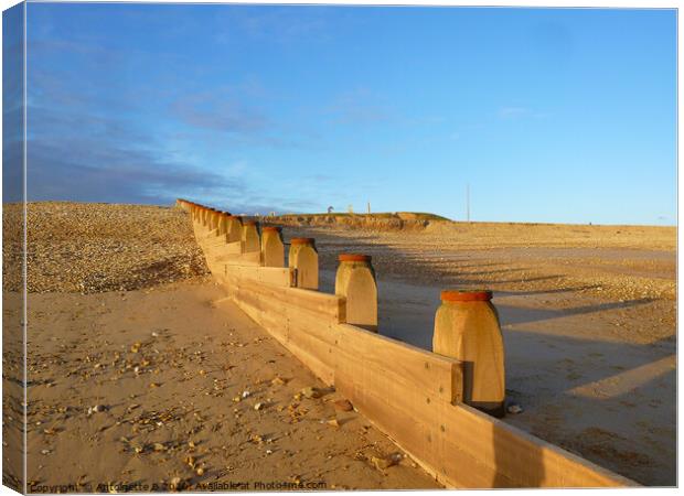 The Groynes at Hythe in Kent  Canvas Print by Antoinette B
