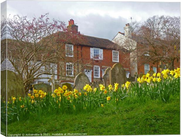 Spring time on Church Hill Hythe Kent  Canvas Print by Antoinette B