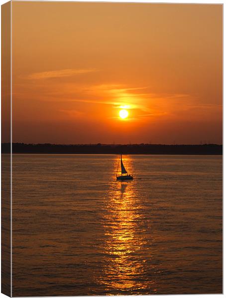 Sailing on the Sunset Canvas Print by Tony Fishpool