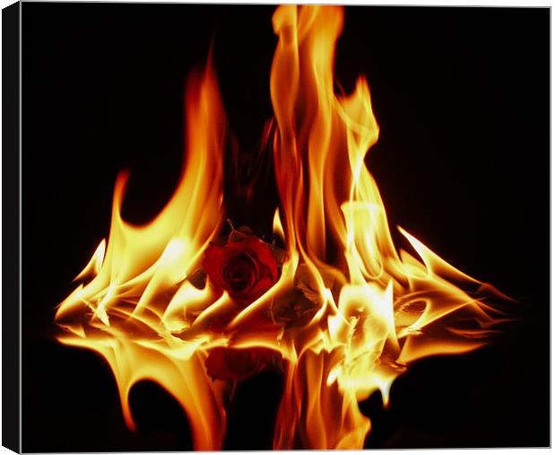The Burning Fire Of Love Canvas Print by Tony Fishpool