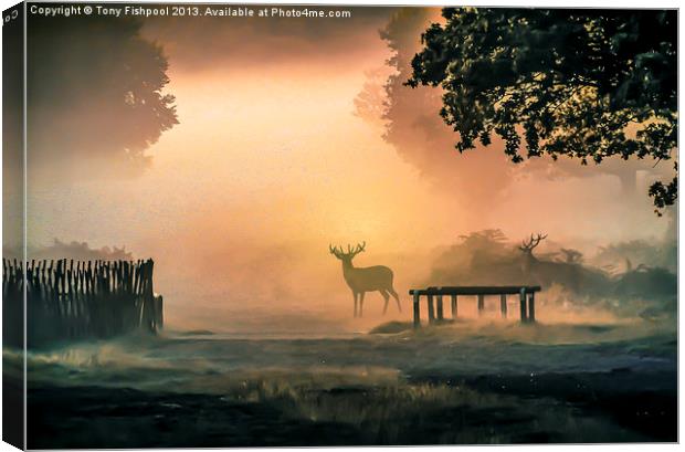 Deers In The Mist Canvas Print by Tony Fishpool