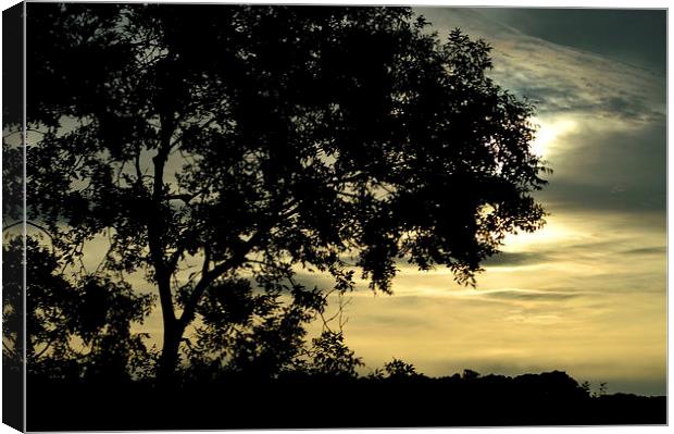 sunset silhouette Canvas Print by Leanne Martin