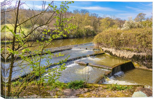 River Stour Weir at Fiddleford Mill Canvas Print by colin chalkley