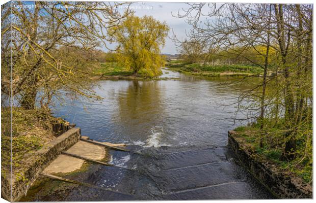 River Stour Weir at Fiddleford Mill Canvas Print by colin chalkley