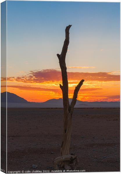 Namib Desert at Sunset Canvas Print by colin chalkley