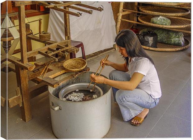 Making silk in Thailand Canvas Print by colin chalkley