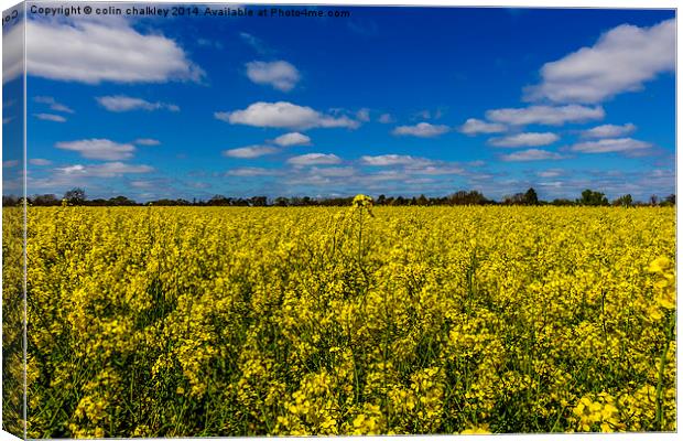 Binfield Heath in Oxfordshire Canvas Print by colin chalkley