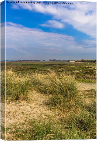 A view across the salt marsh Canvas Print by colin chalkley