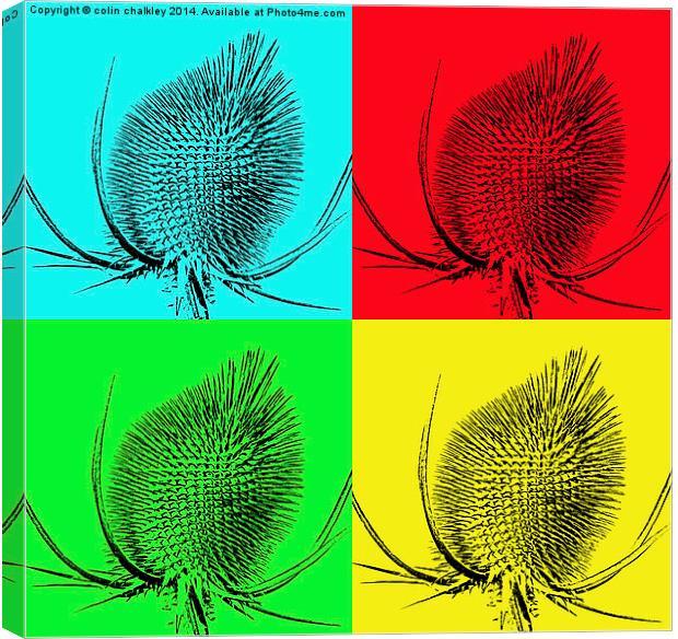  Thistle head pop art Canvas Print by colin chalkley