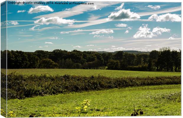  Chilterns Countryside Canvas Print by colin chalkley