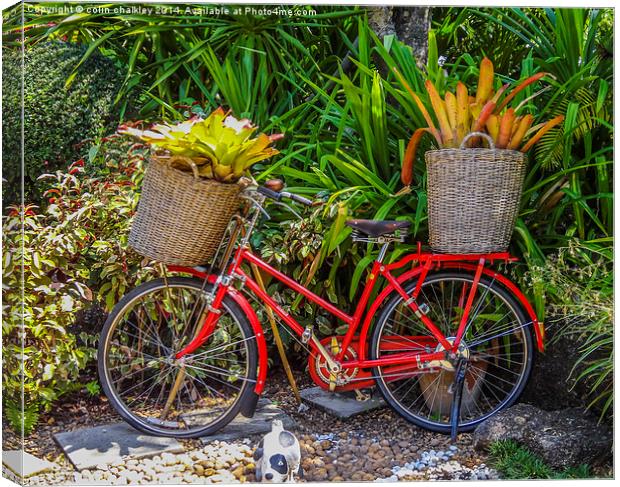  A Bicycle Planter - Thai style Canvas Print by colin chalkley