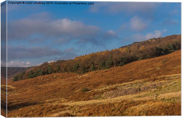 Vibrant Colour at Stanage Edge in Debyshire Canvas Print by colin chalkley