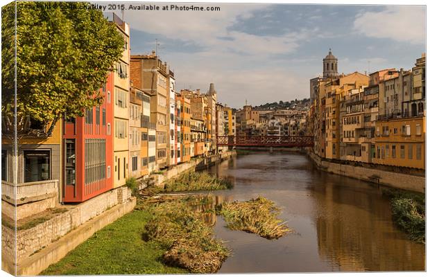  View Down the River Onyar in Girona Canvas Print by colin chalkley