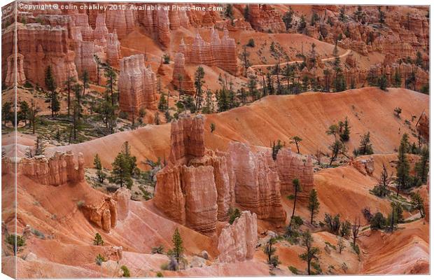  Bryce Canyon Canvas Print by colin chalkley