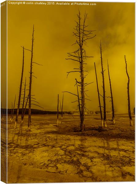 Ethereal Landscape in Yellowstone Park Canvas Print by colin chalkley