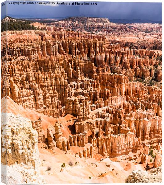   Bryce Canyon National Park Hoodoos Canvas Print by colin chalkley