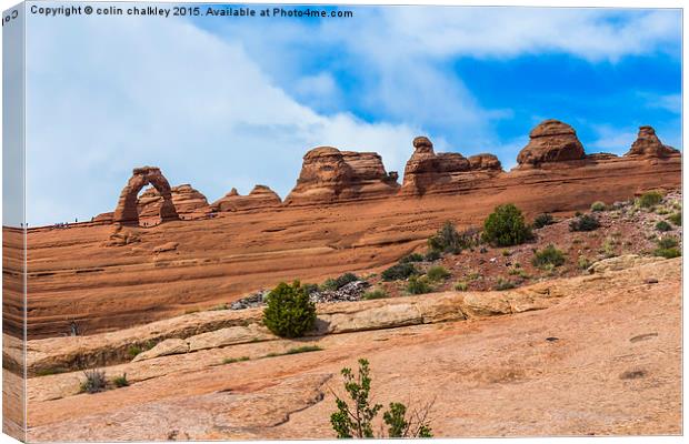  Arches National Park - Delicate Arch Canvas Print by colin chalkley