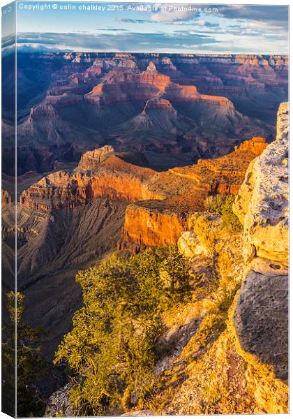 Sunset in the Grand Canyon - Southern Rim Canvas Print by colin chalkley