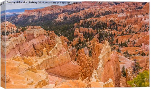   Bryce Canyon - USA Canvas Print by colin chalkley