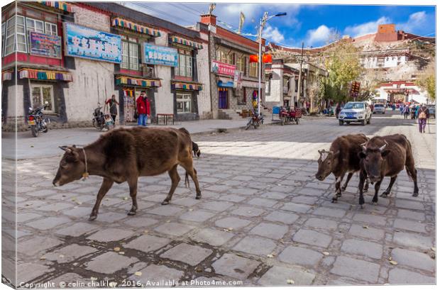 Main Road in Gyantse, Tibet Canvas Print by colin chalkley