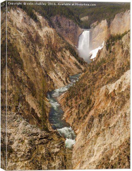 Yellowstone National Park - Lower Falls Canvas Print by colin chalkley