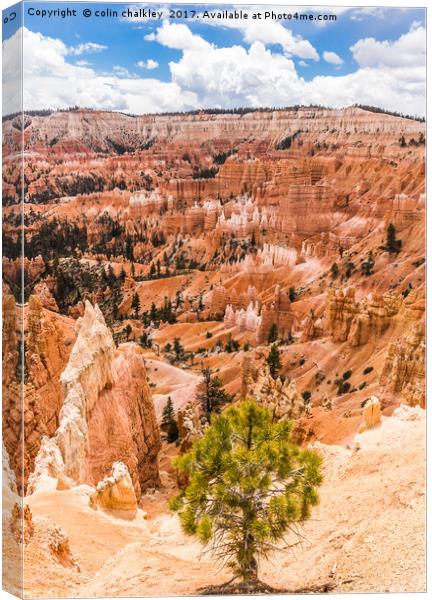 Enchanted Bryce Canyon Hoodoos Canvas Print by colin chalkley
