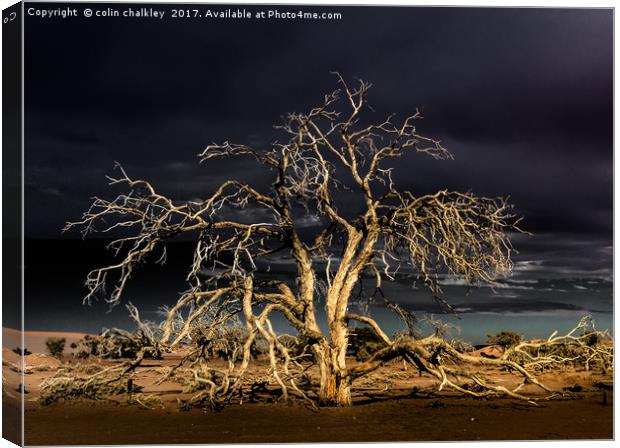 Namibia - Surreal Sossusvlie at Dawn Canvas Print by colin chalkley