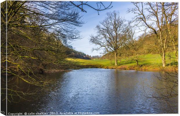 Source of the River Stour at Stourhead Canvas Print by colin chalkley