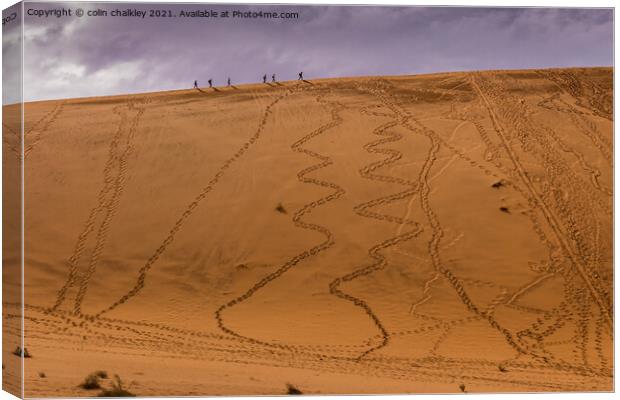 Footsteps in the sand Canvas Print by colin chalkley