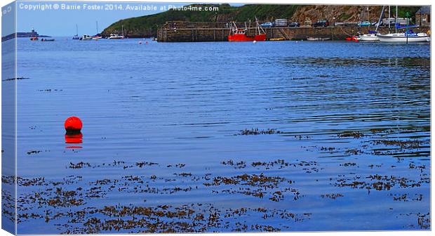  Fishguard Harbour Canvas Print by Barrie Foster